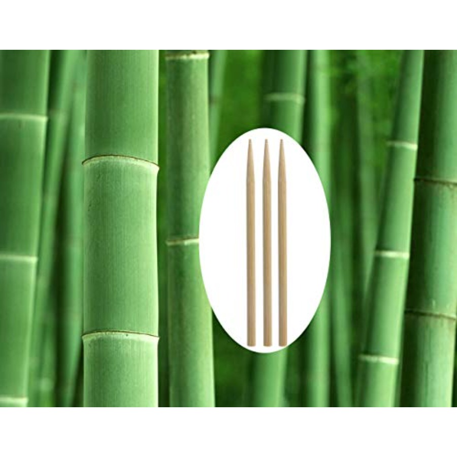 5.5 inch Thick Bamboo Sticks f – Corn Dog Stick Bewertung und Preis
